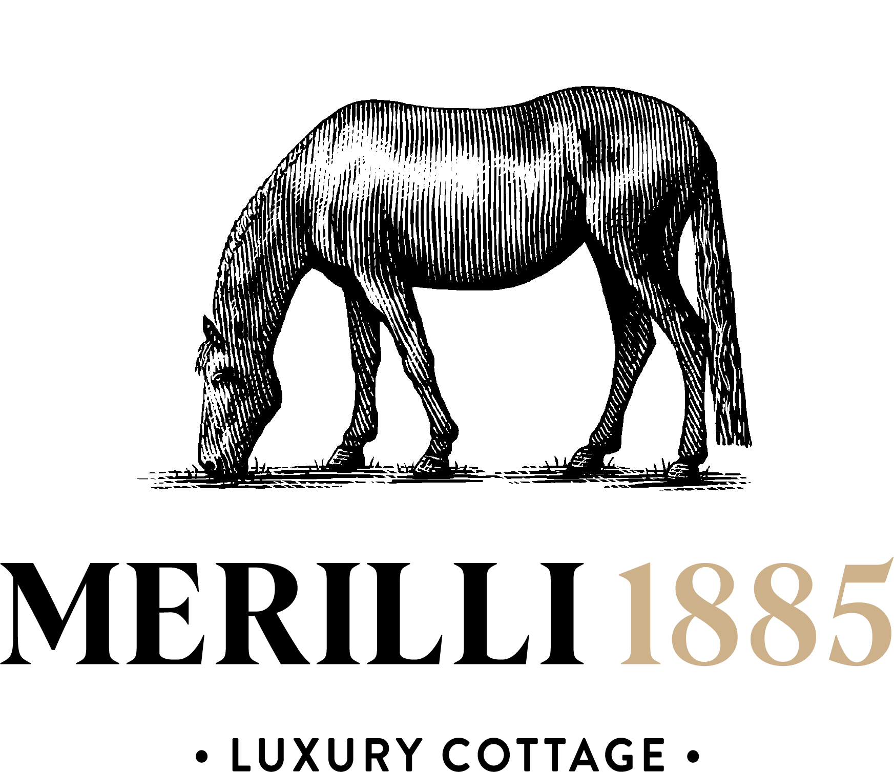 Merilli1885 + Merilli Angus logo